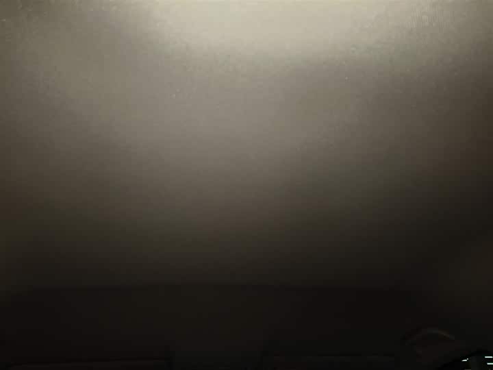 Фото 9 - Honda Odyssey