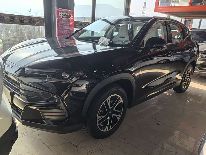 Фото 2 - Jetour Dashing