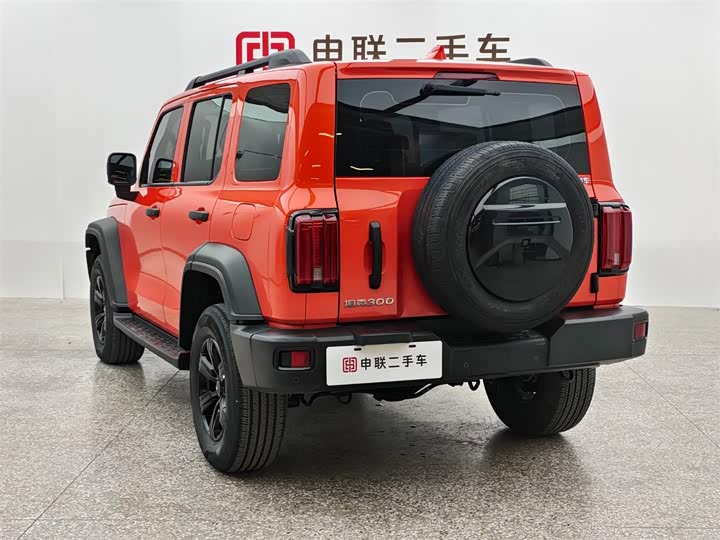 Фото 2 - Tank 300