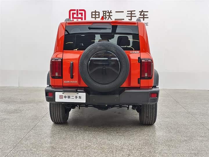 Фото 4 - Tank 300