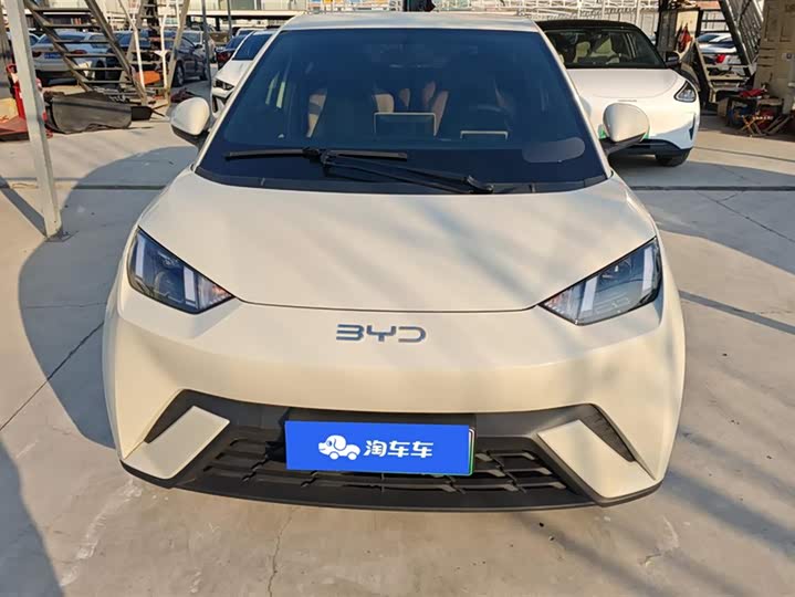 Фото 2 - BYD Seagull