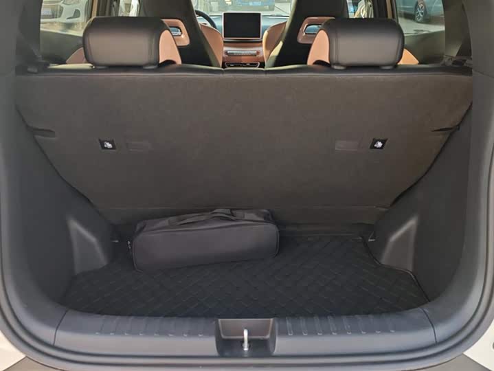 Фото 4 - BYD Seagull