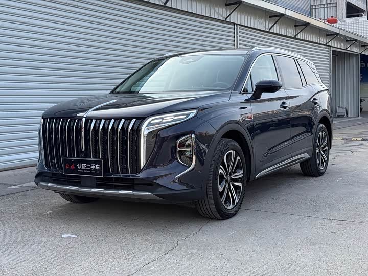 Фото 1 - Hongqi HS7