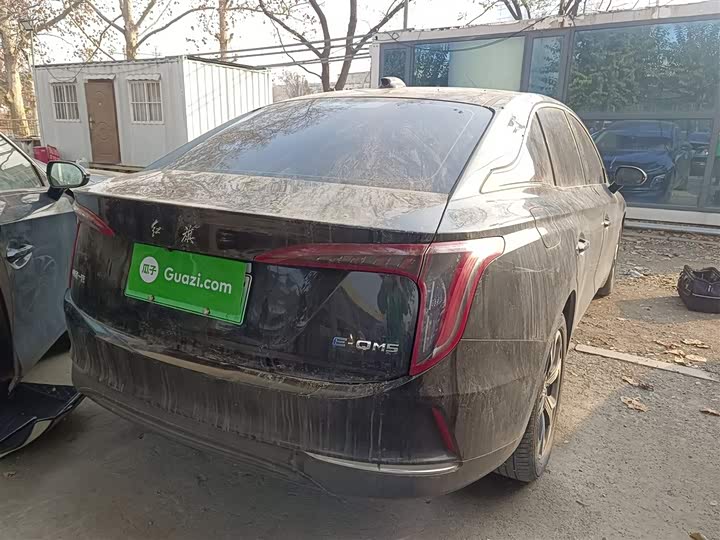 Фото 7 - Hongqi E-QM5