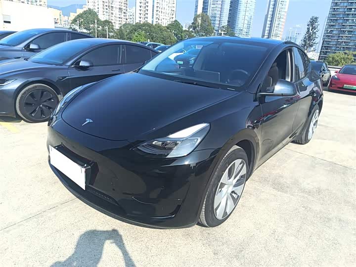 Фото 1 - Tesla Model Y