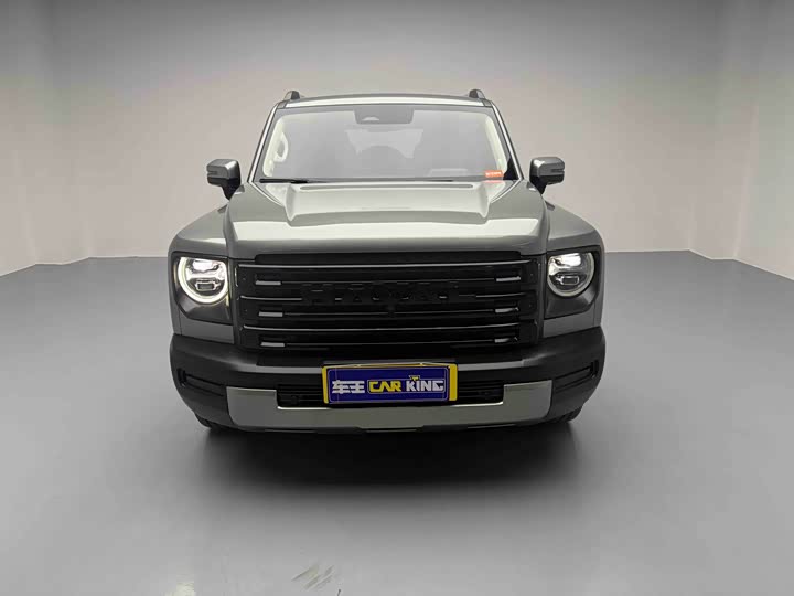 Фото 2 - Haval Raptor Hybrid