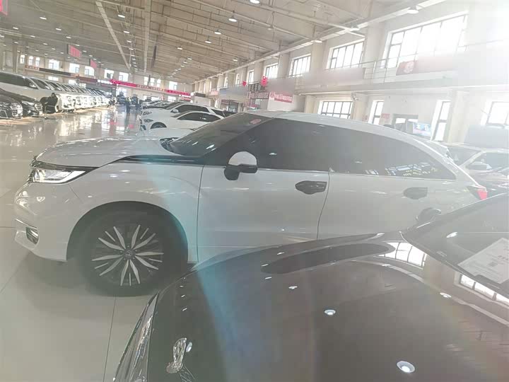 Фото 5 - Honda Avancier