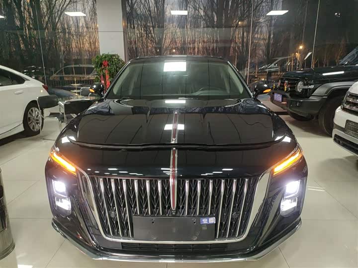 Фото 3 - Hongqi H5