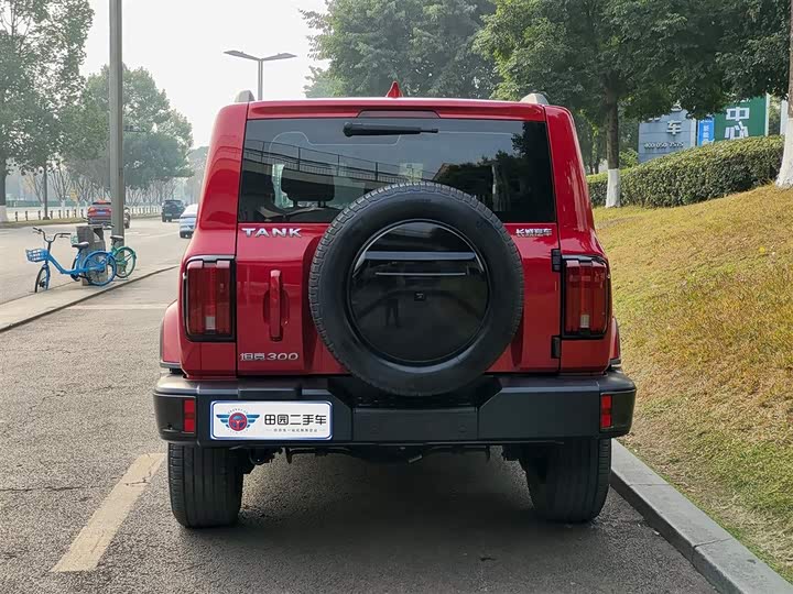 Фото 5 - Tank 300