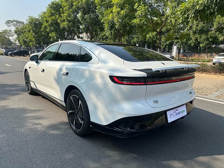 Фото 9 - Voyah Passion