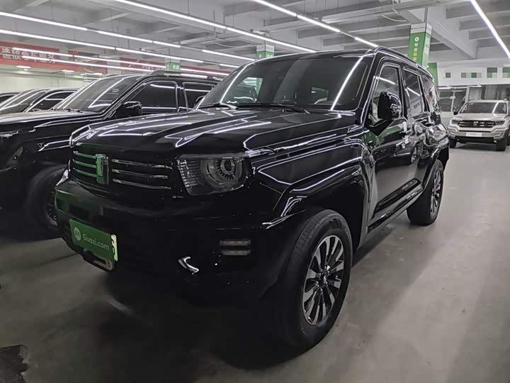 Фото 2 - Tank 700 Hybrid