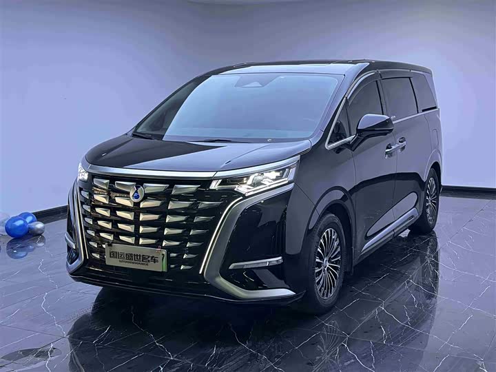 Фото 1 - Denza D9