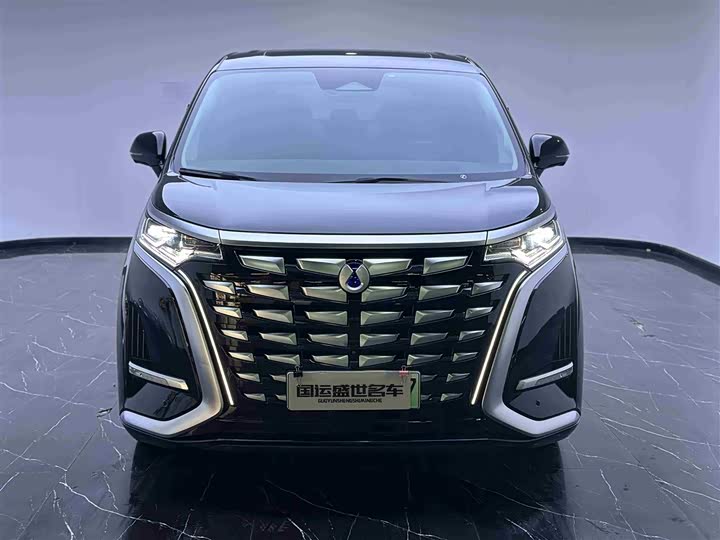 Фото 2 - Denza D9