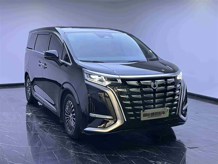 Фото 3 - Denza D9