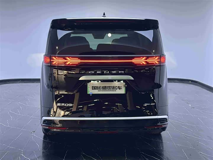 Фото 5 - Denza D9