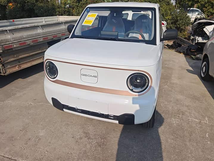 Фото 2 - Geely Galaxy Panda Mini