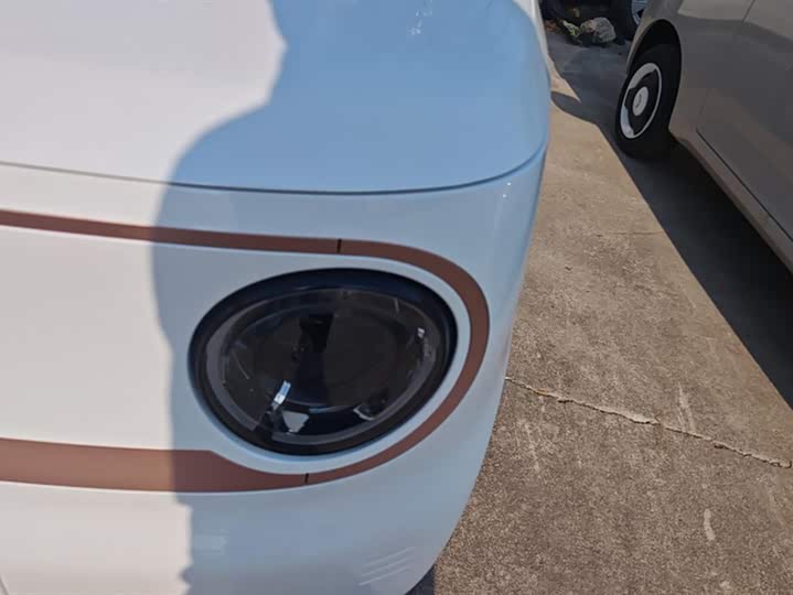 Фото 5 - Geely Galaxy Panda Mini