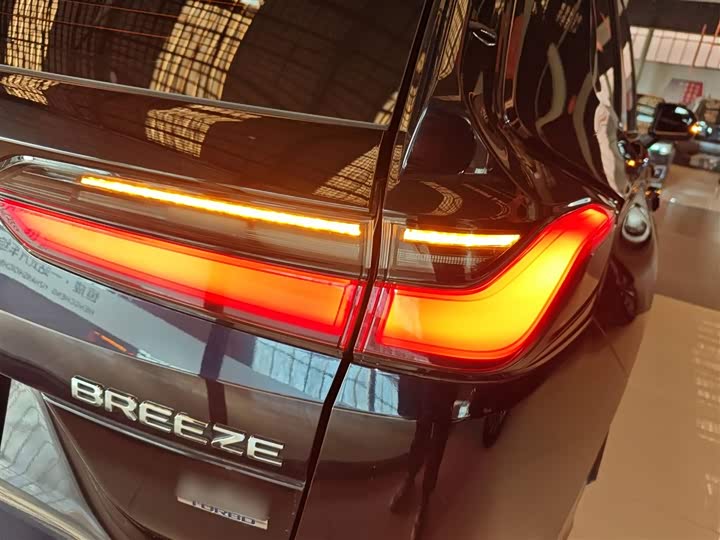 Фото 8 - Honda Breeze