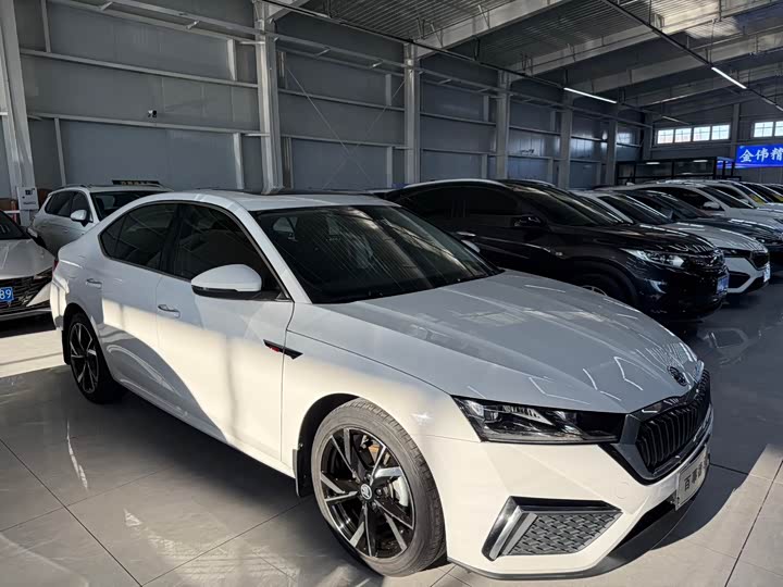 Фото 3 - Skoda Octavia Pro