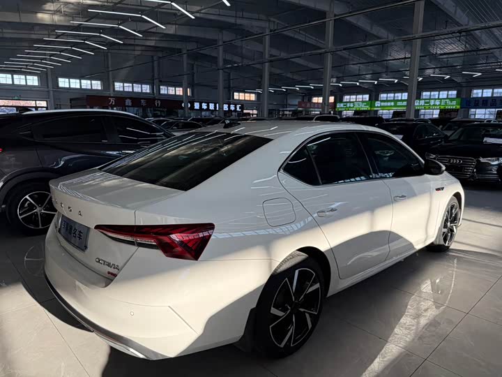 Фото 9 - Skoda Octavia Pro