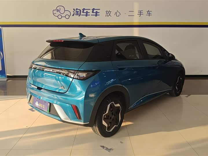 Фото 3 - BYD Dolphin