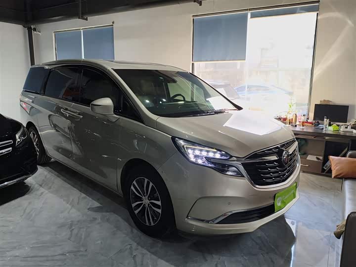 Фото 4 - Buick GL8 ES