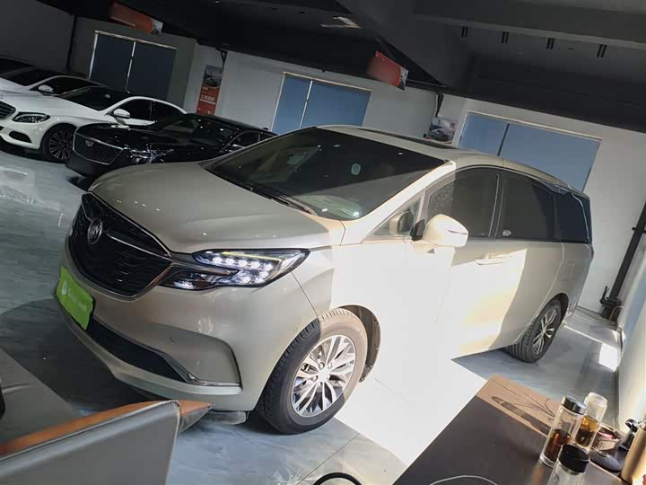 Фото 5 - Buick GL8 ES