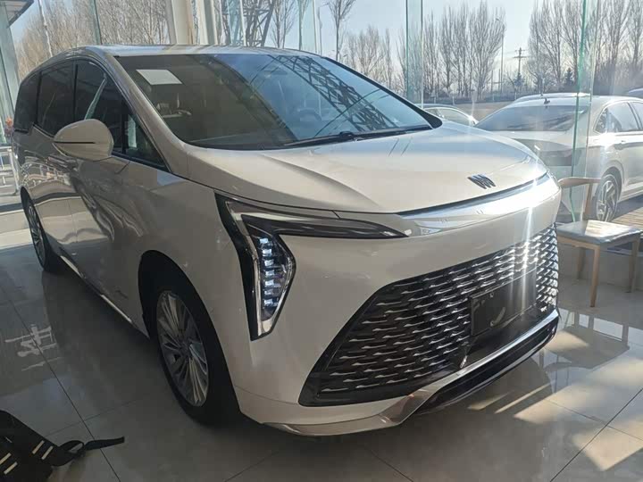 Фото 4 - Buick GL8 Century