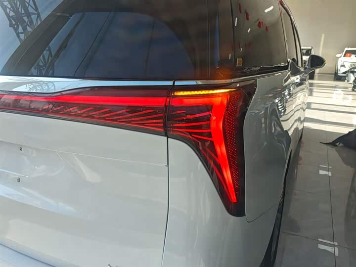 Фото 8 - Buick GL8 Century