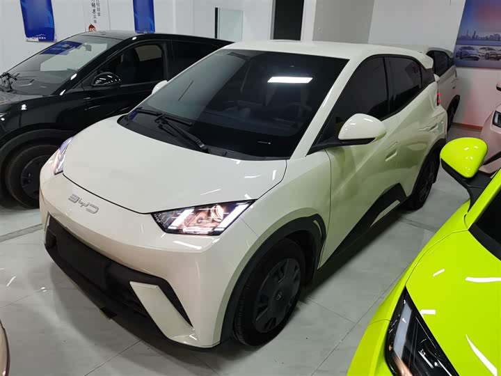 Фото 2 - BYD Seagull