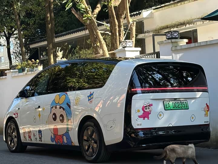 Фото 4 - LiXiang Mega