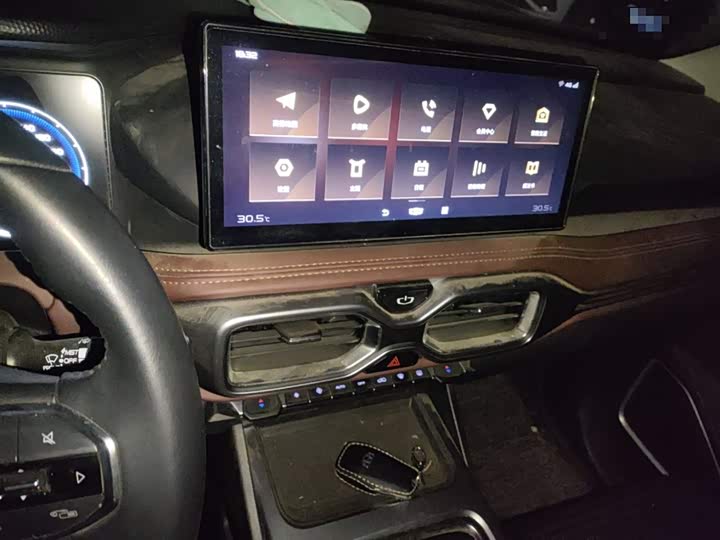 Фото 6 - Geely Okavango