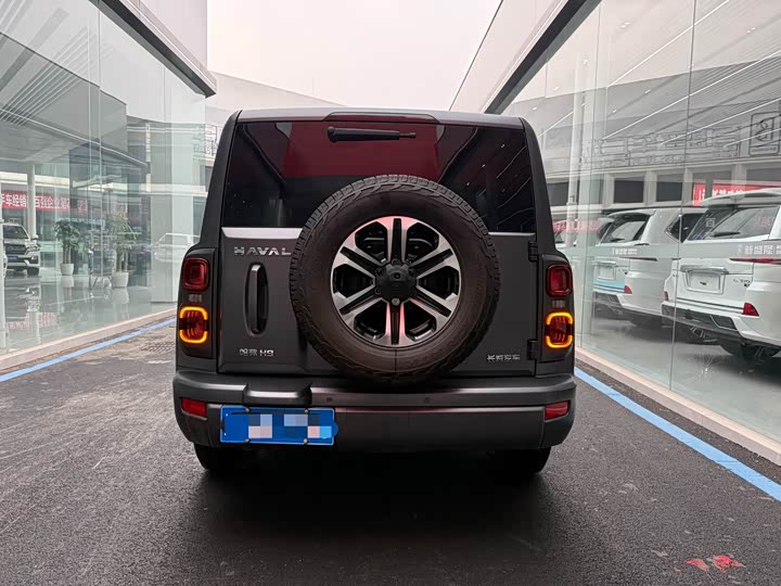 Фото 5 - Haval H9