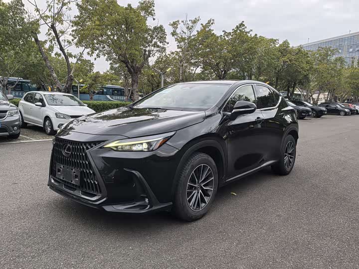 Фото 1 - Lexus NX