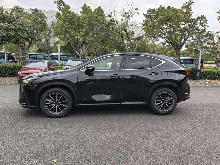 Фото 4 - Lexus NX