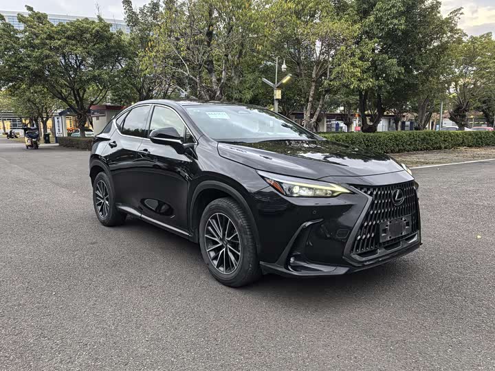Фото 8 - Lexus NX