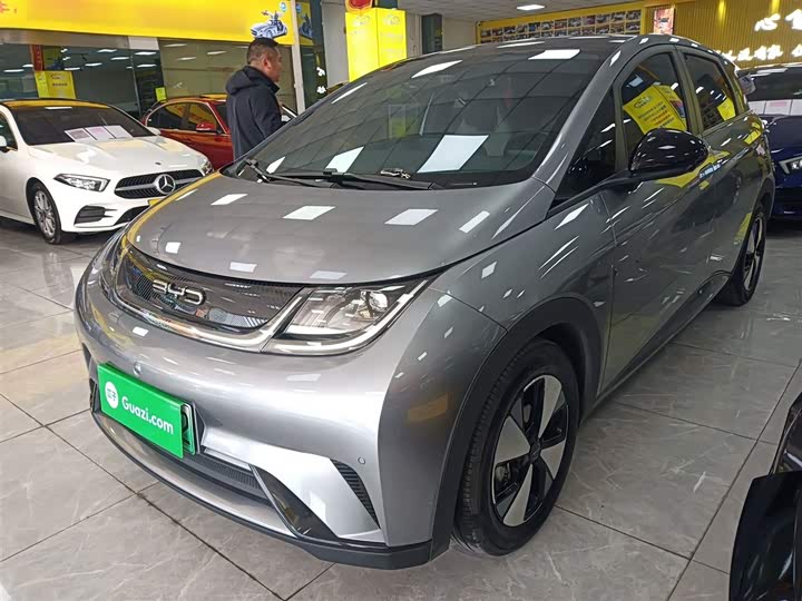 Фото 1 - BYD Dolphin