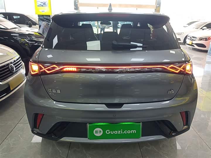 Фото 6 - BYD Dolphin