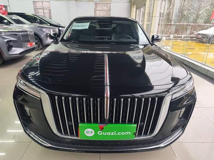 Фото 3 - Hongqi H9