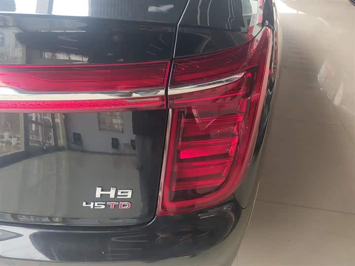 Фото 8 - Hongqi H9