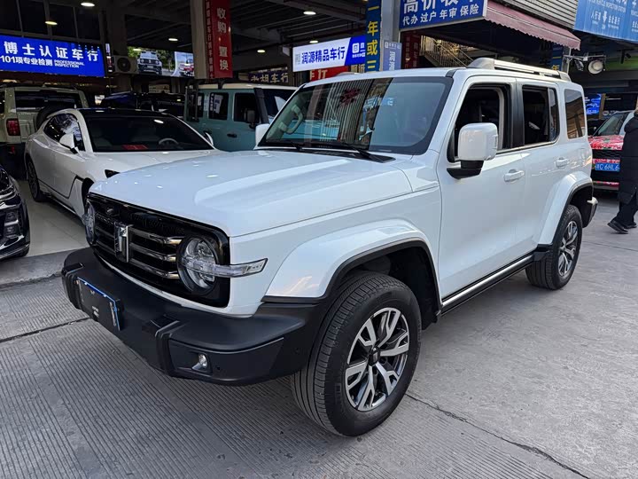 Фото 2 - Tank 300