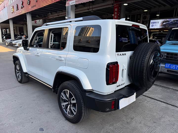 Фото 4 - Tank 300