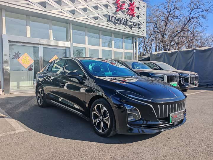 Фото 6 - Hongqi E-QM5