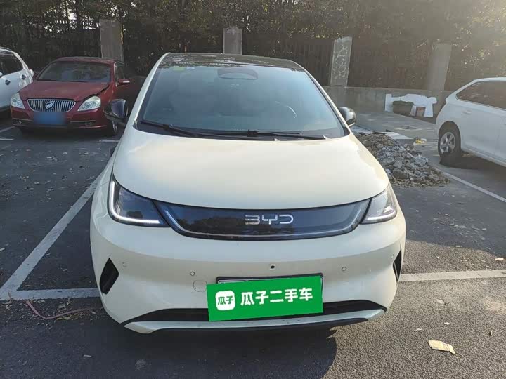 Фото 3 - BYD Dolphin