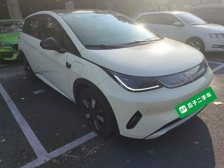 Фото 4 - BYD Dolphin