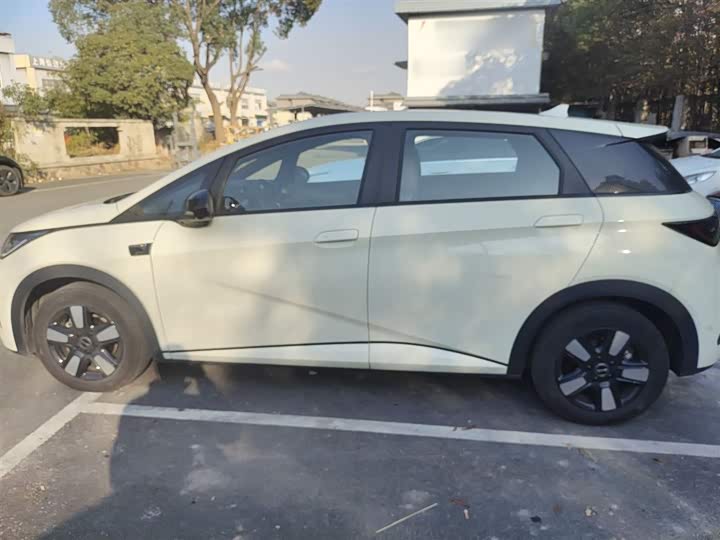 Фото 5 - BYD Dolphin