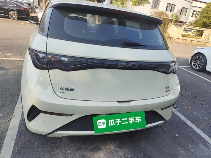 Фото 6 - BYD Dolphin