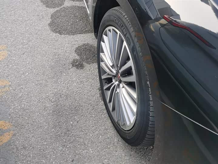 Фото 6 - Hongqi H9