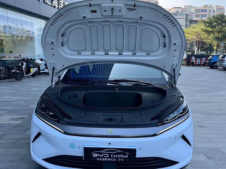Фото 6 - BYD Qin L
