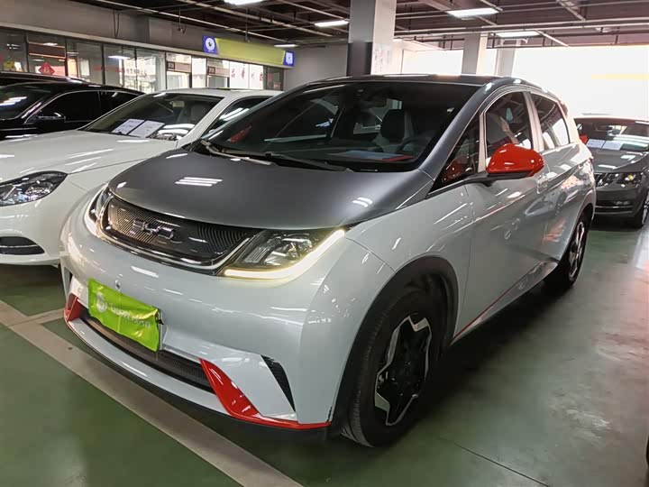 Фото 2 - BYD Dolphin